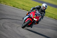 PJ-Motorsport-2019;anglesey-no-limits-trackday;anglesey-photographs;anglesey-trackday-photographs;enduro-digital-images;event-digital-images;eventdigitalimages;no-limits-trackdays;peter-wileman-photography;racing-digital-images;trac-mon;trackday-digital-images;trackday-photos;ty-croes